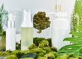 Om Prithvi Home Products, a step towards safe and healthy hair and skin care.